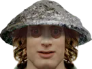 :complot_frodon: