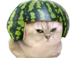 :chatbrushingpasteque: