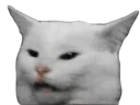 :argument: