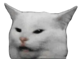 :argument: