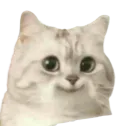 :Tumaimes: