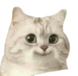 :Tumaimes: