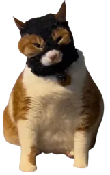 :Chatgoulag: