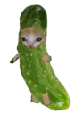 :Charnichon: