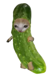 :Charnichon: