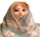 :Tristouchatte1: