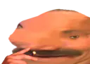 :Mongolomax:
