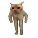 :chat_colerique: