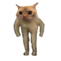 :chat_colerique: