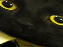 :ZOOMAX: