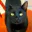 Photo de profil de MaitreTache