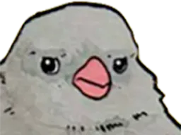 :Rifson: