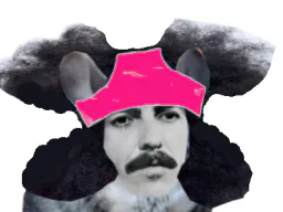 :chinchilla_slip: