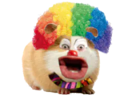 :hamster_perruque: