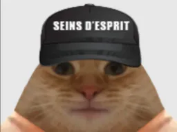 :chat_seins_esprit: