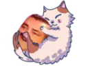 :chat_joue: