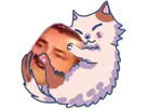 :chat_joue: