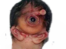 :consanguin_: