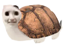 :Tortue_chat: