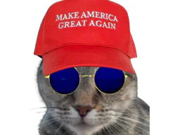 :Chat_maga: