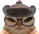 :chat_lunettes_mongol: