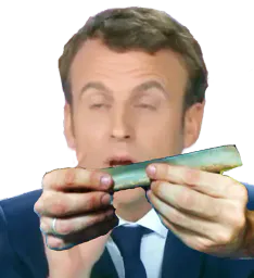 :MacronJoint: