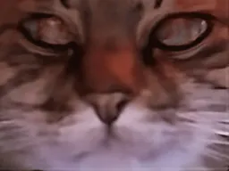 :chat_zoom_cligne: