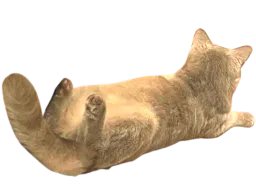 :chatlong: