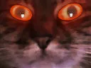:Chalefique: