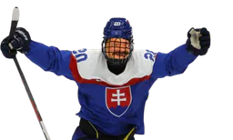 :Hockey: