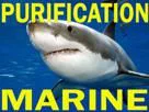 :purification_marine: