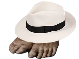 :wonkifeet: