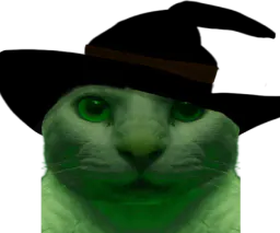 :ChatMeprisantFDV: