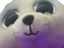 :Phoque_peluche: