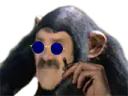 :singelunettes: