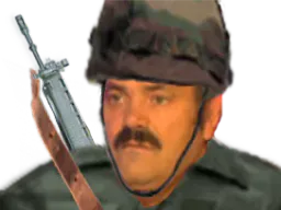 :risivietnam: