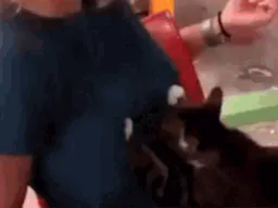 :CatBzez: