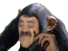 :Risisinge: