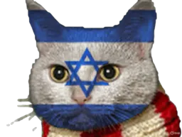 :Chat-Triss2: