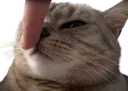 :Chatchut:
