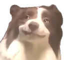 :chiensmirk: