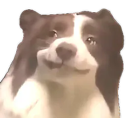 :chiensmirk: