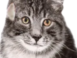 :regard: