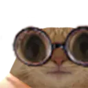 Deglingo