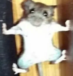 :tu_es_bien_dans_la_merde_la_poto: