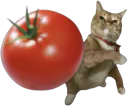 :Chatom: