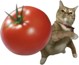 :Chatom: