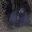 Photo de profil de Bumdesbois_