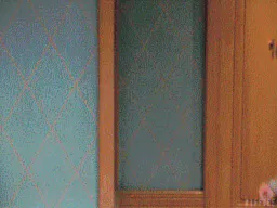 :Kikoojaped: