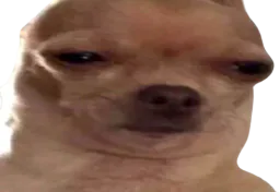 :chienwtf: